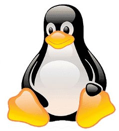 A Beginner's Guide to Linux and Shell Commands: The Popular Ones