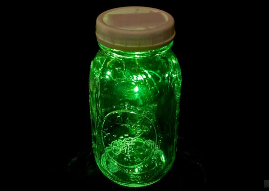 Virtual Jar of Fireflies