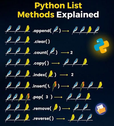 Python List Methods Explained