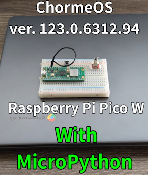 Raspberry Pi Pico on the Latest Chrome OS