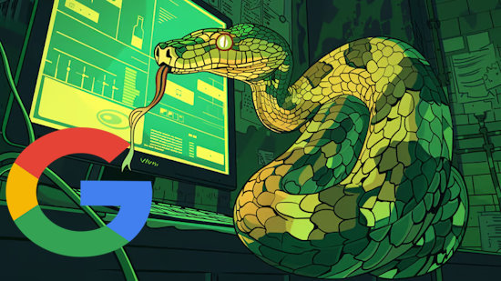 Google lays off US Python programmers