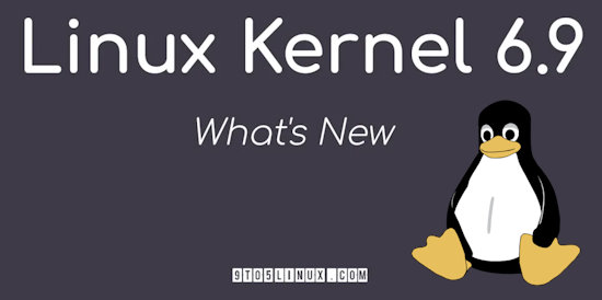 Linux Kernel 6.9