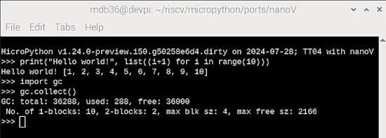 Micropython running on the Risc-V SoC