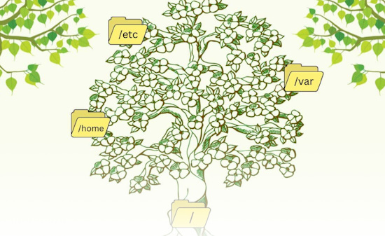 How does the Raspberry Pi file system work?