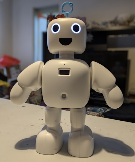 Pibo the bipedal robot review