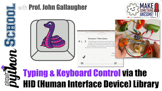 Typing and keyboard control using the HID library