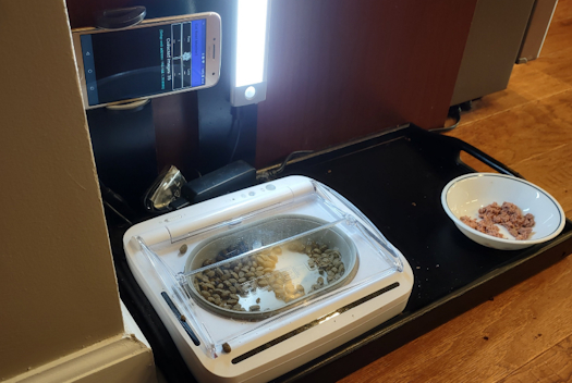 A smart cat bowl that uses facial recognition