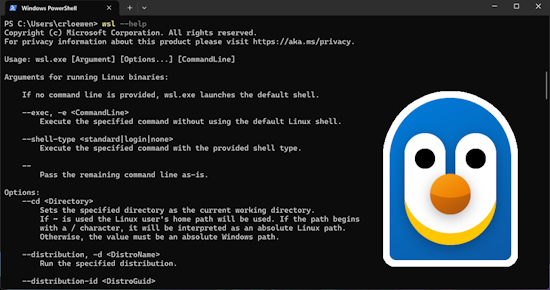 Windows Subsystem for Linux is Now Open Source