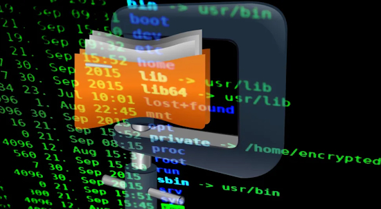 How To Zip Files in the Linux Terminal
