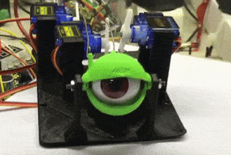 Eye