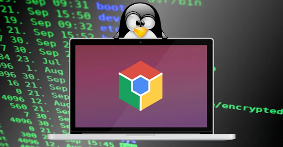 How to Run a Linux OS on your Chromebook