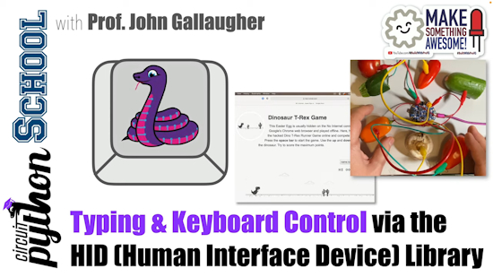 Typing and keyboard control using the HID library (CircuitPython School)