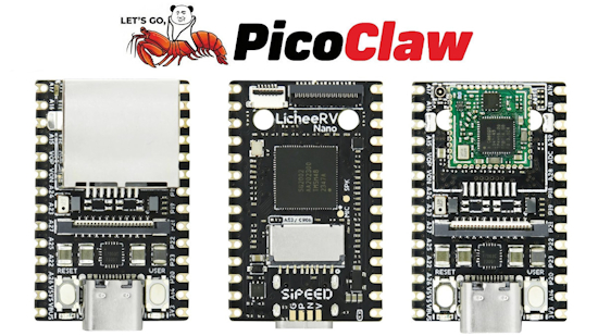 PicoClaw ultra-lightweight personal AI Assistant runs on just 10MB of RAM