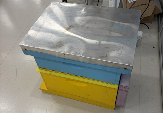 Smart Beehive Winter Monitor