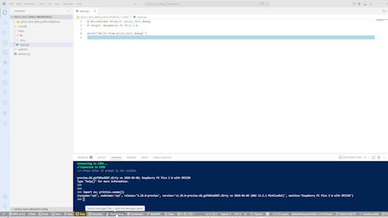 Setting Up Raspberry Pi Pico 2 W with Live Debugging