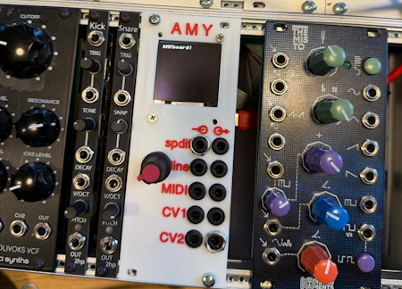 AMYboard