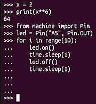 Comparing MicroPython, Zephyr, Lua, and Forth